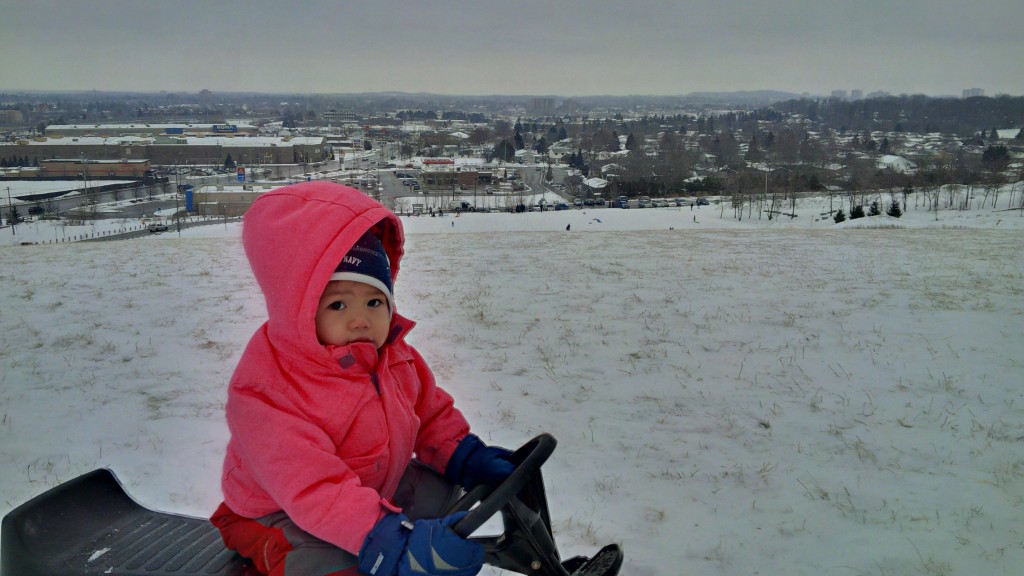 Tobogganing